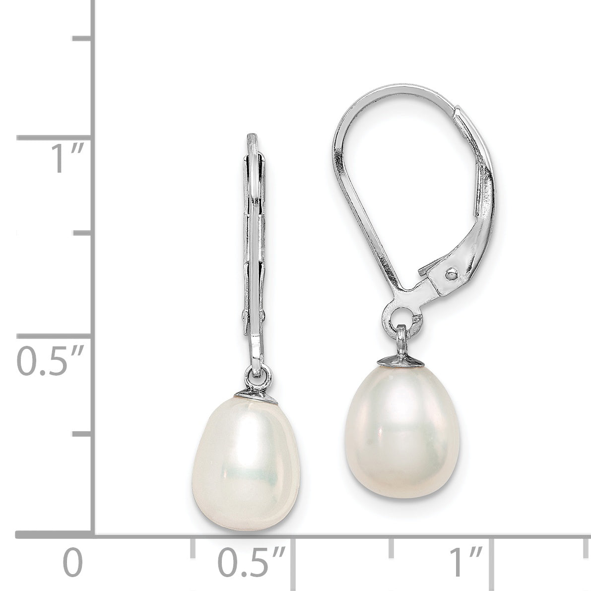 QE12781