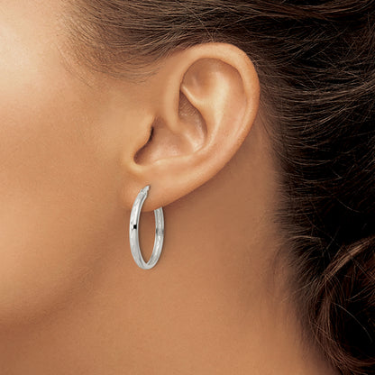 QE15856