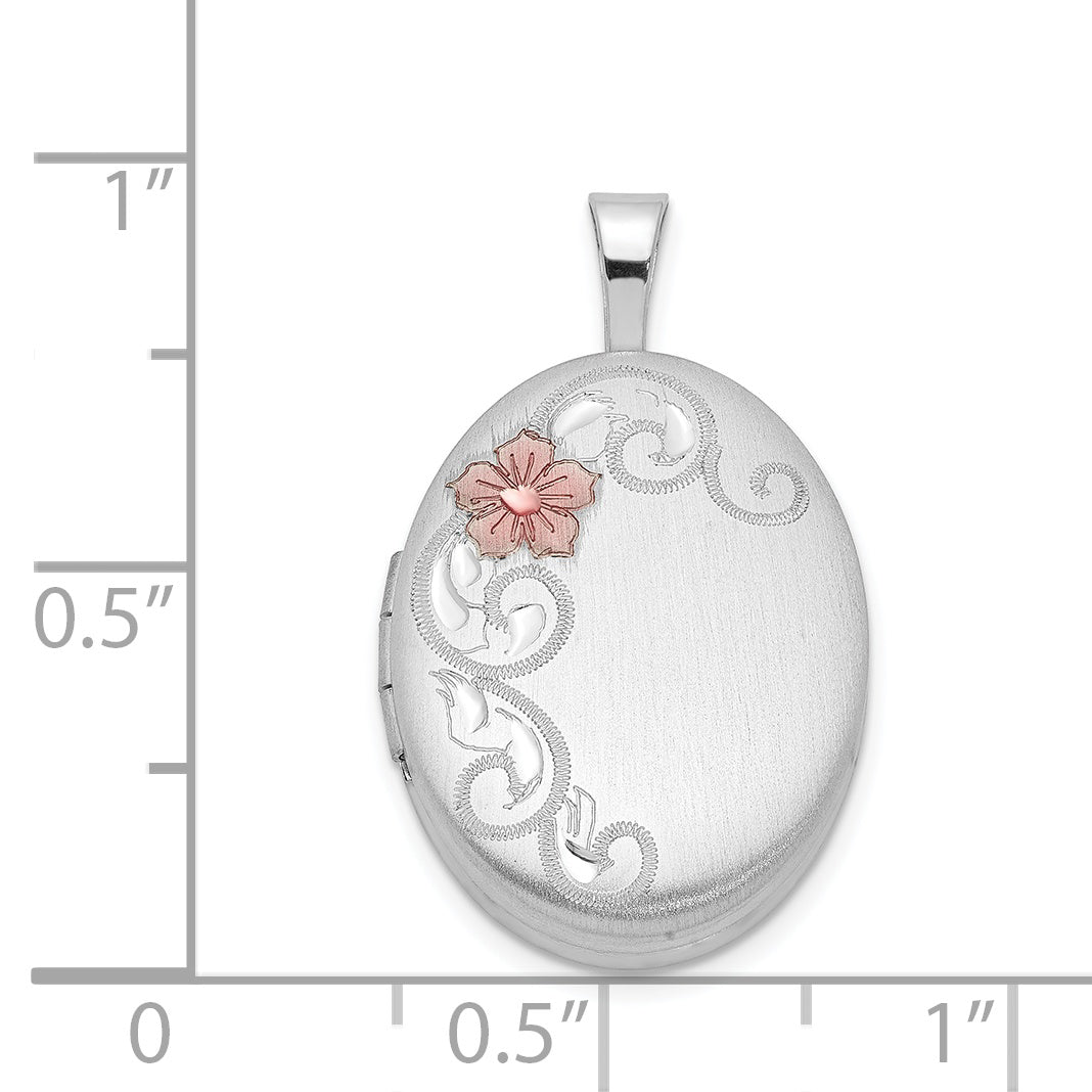 QLS519