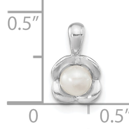 QP5596