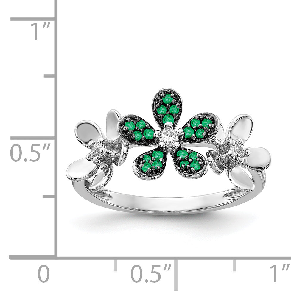 RM4044-EM-009-WA