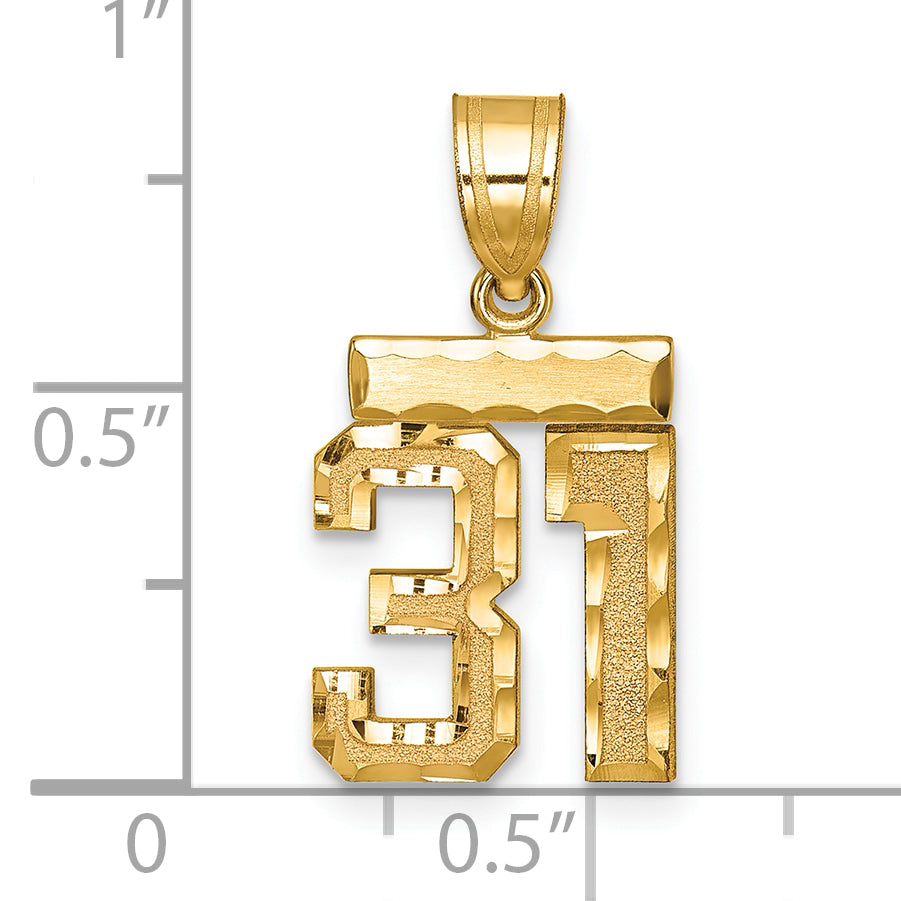 SN31