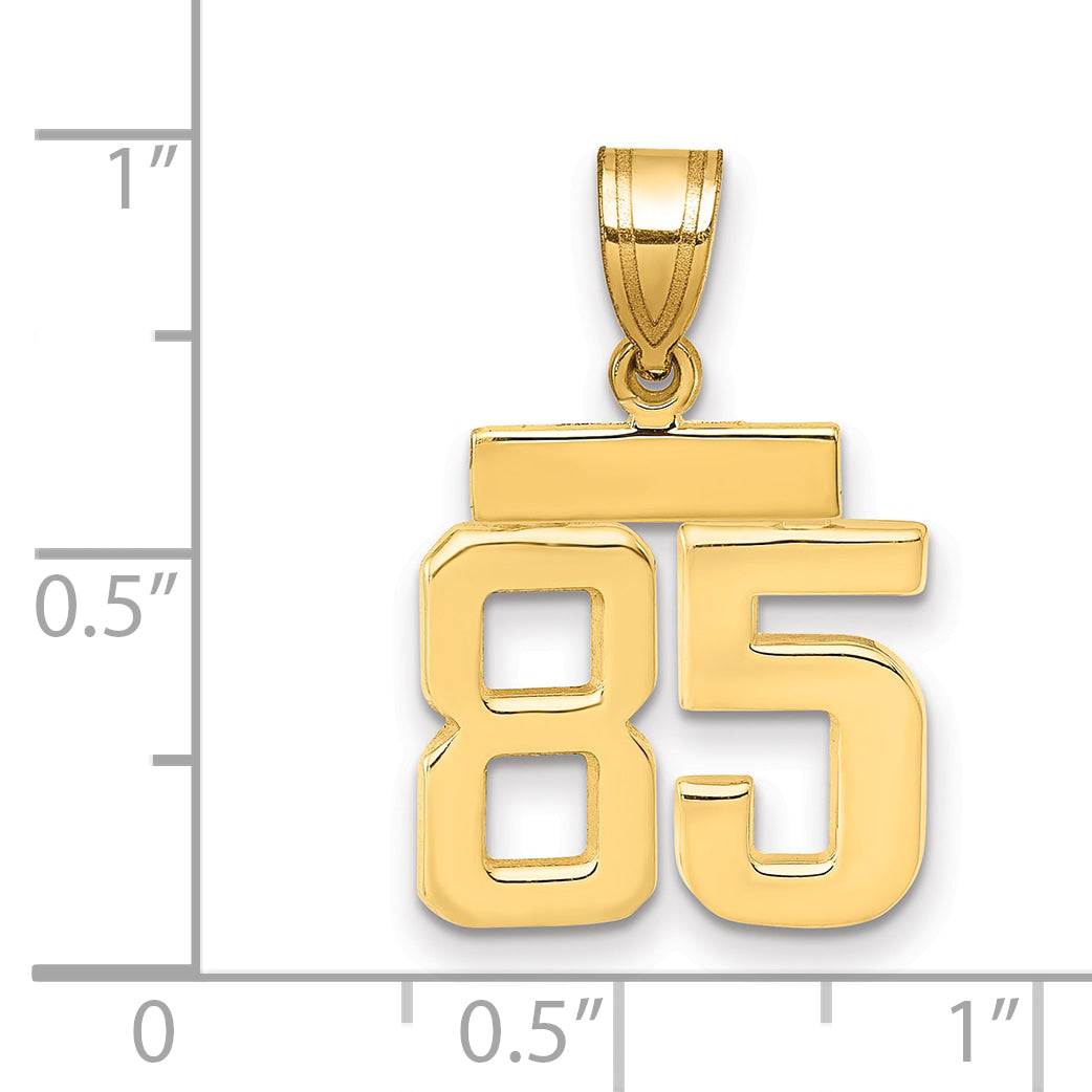 10SP85