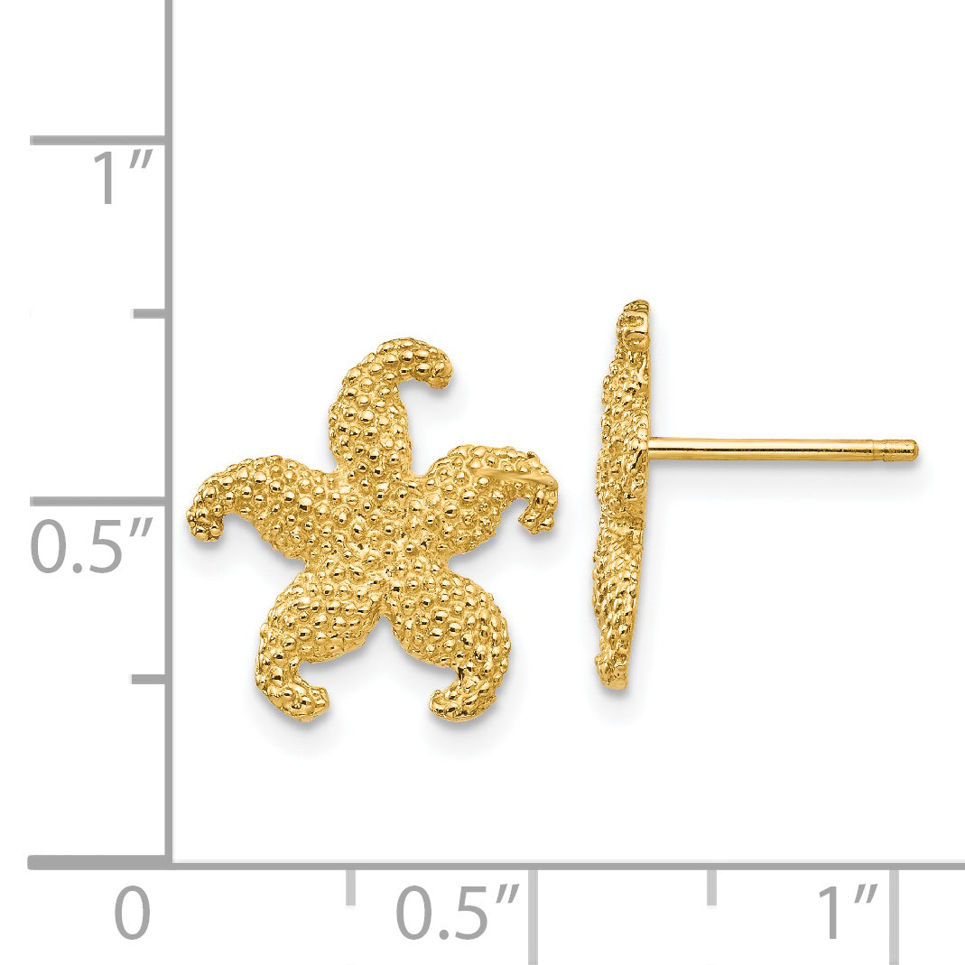 TC586