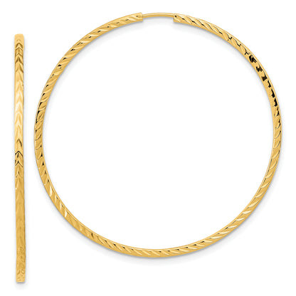 TF1000