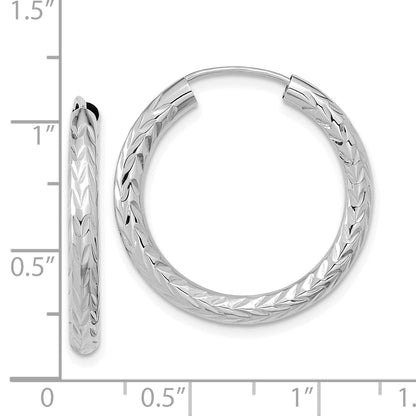 TF1005W
