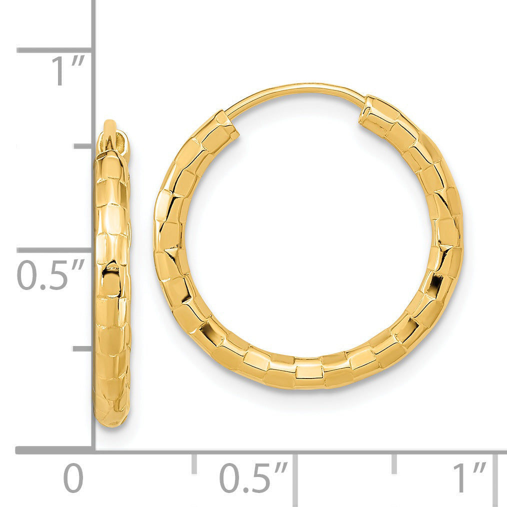 TF1008