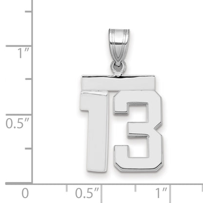 WMP13
