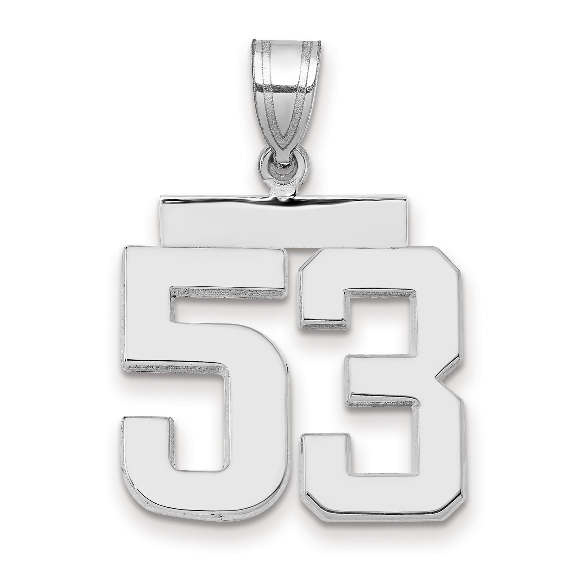 WMP53