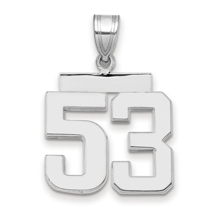 WMP53