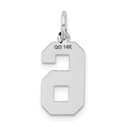 WSM06