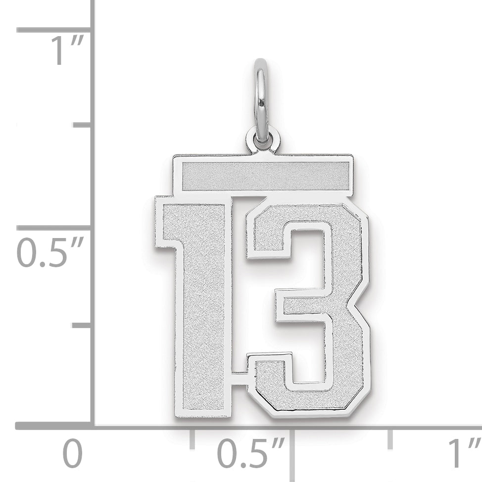 WSM13