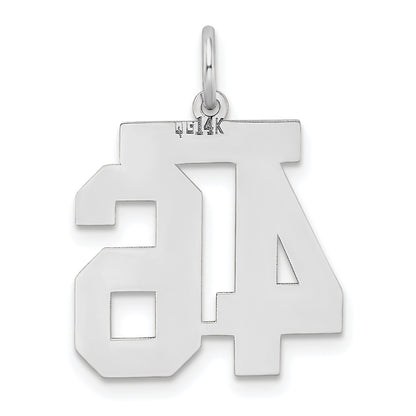 WSM46