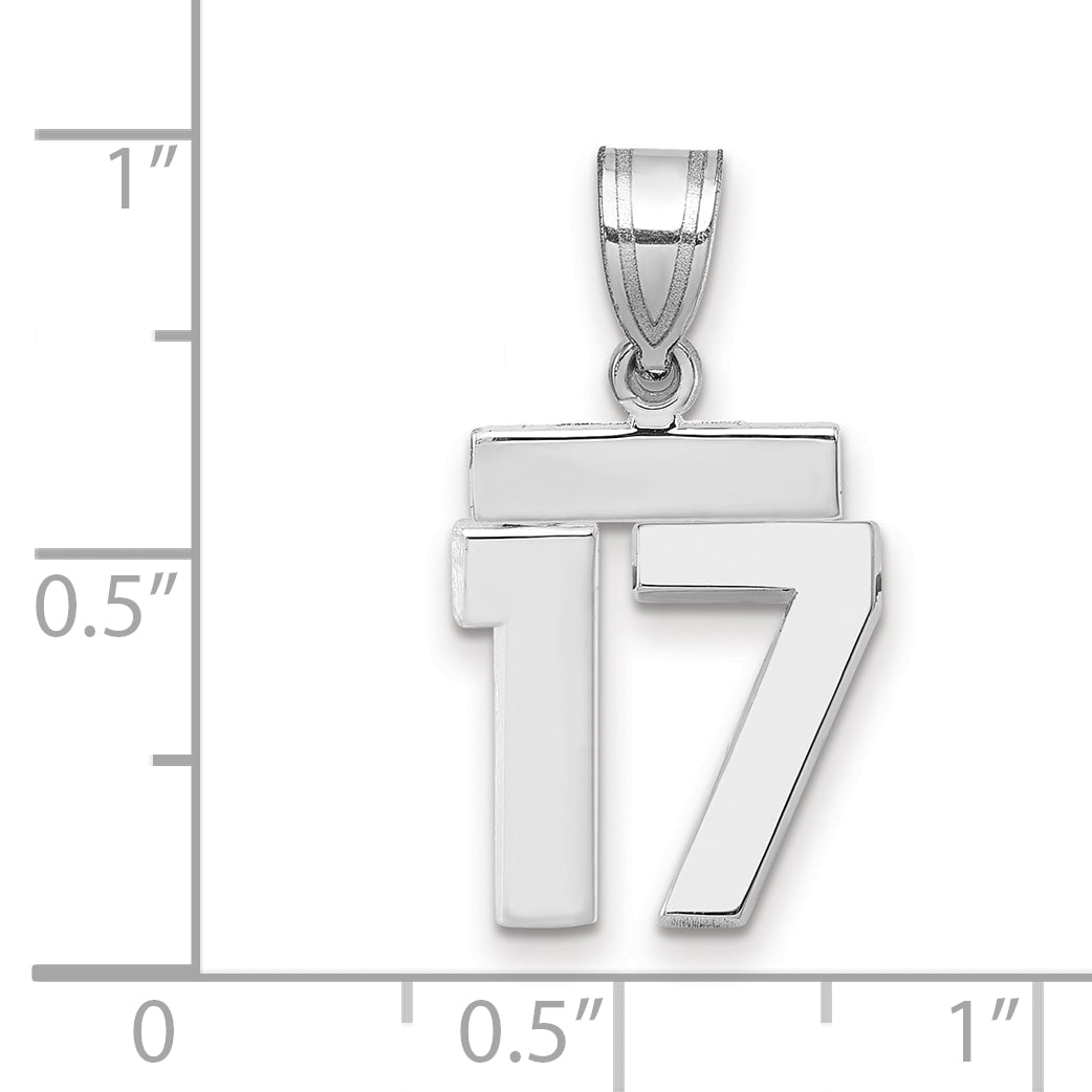 WSP17