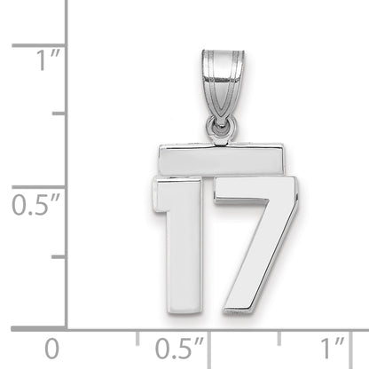 WSP17