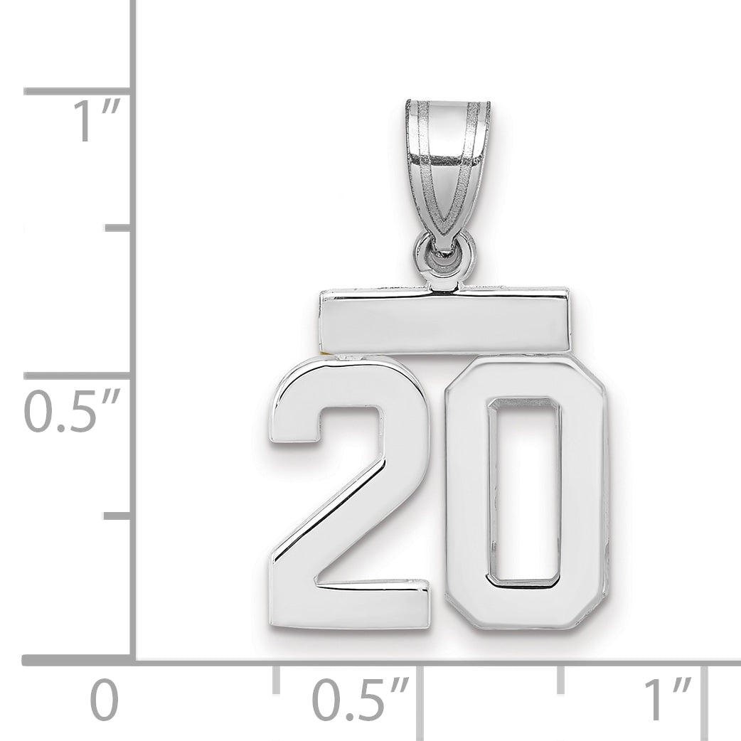 WSP20