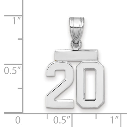 WSP20