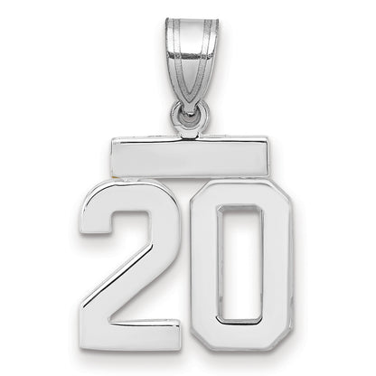 WSP20