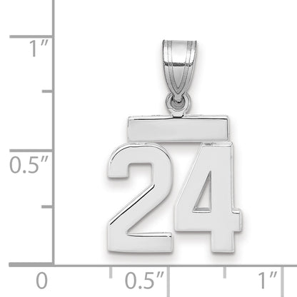 WSP24