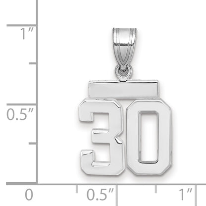 WSP30