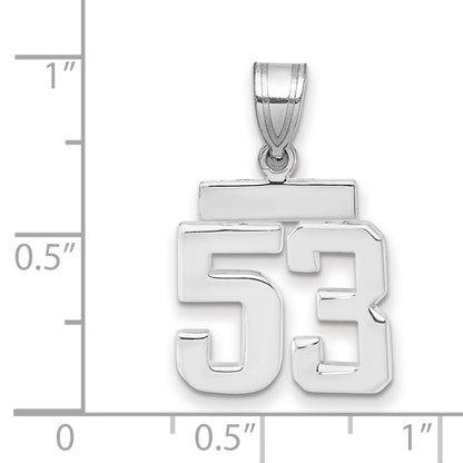 WSP53