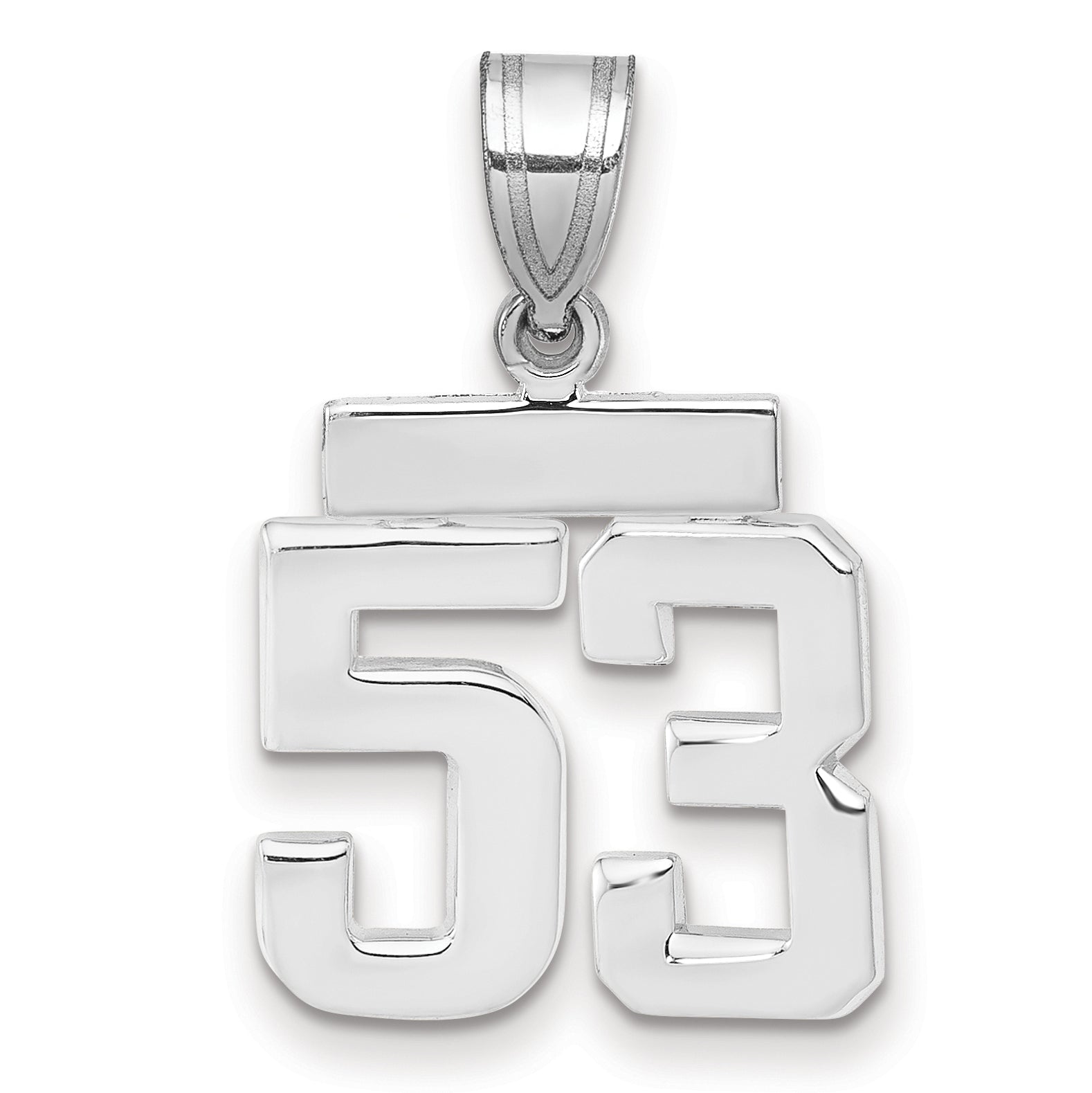 WSP53