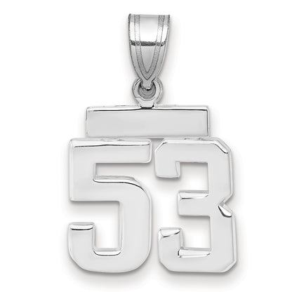 WSP53