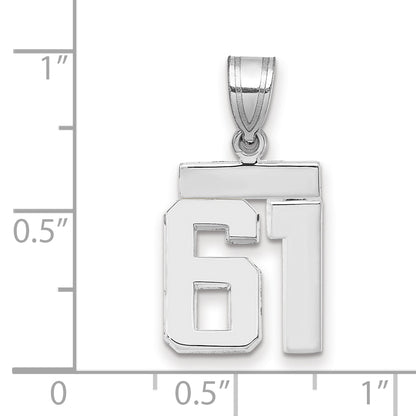 WSP61