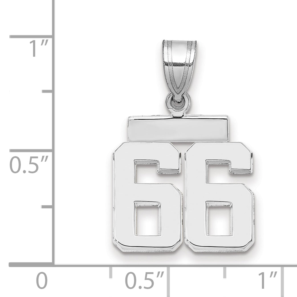 WSP66