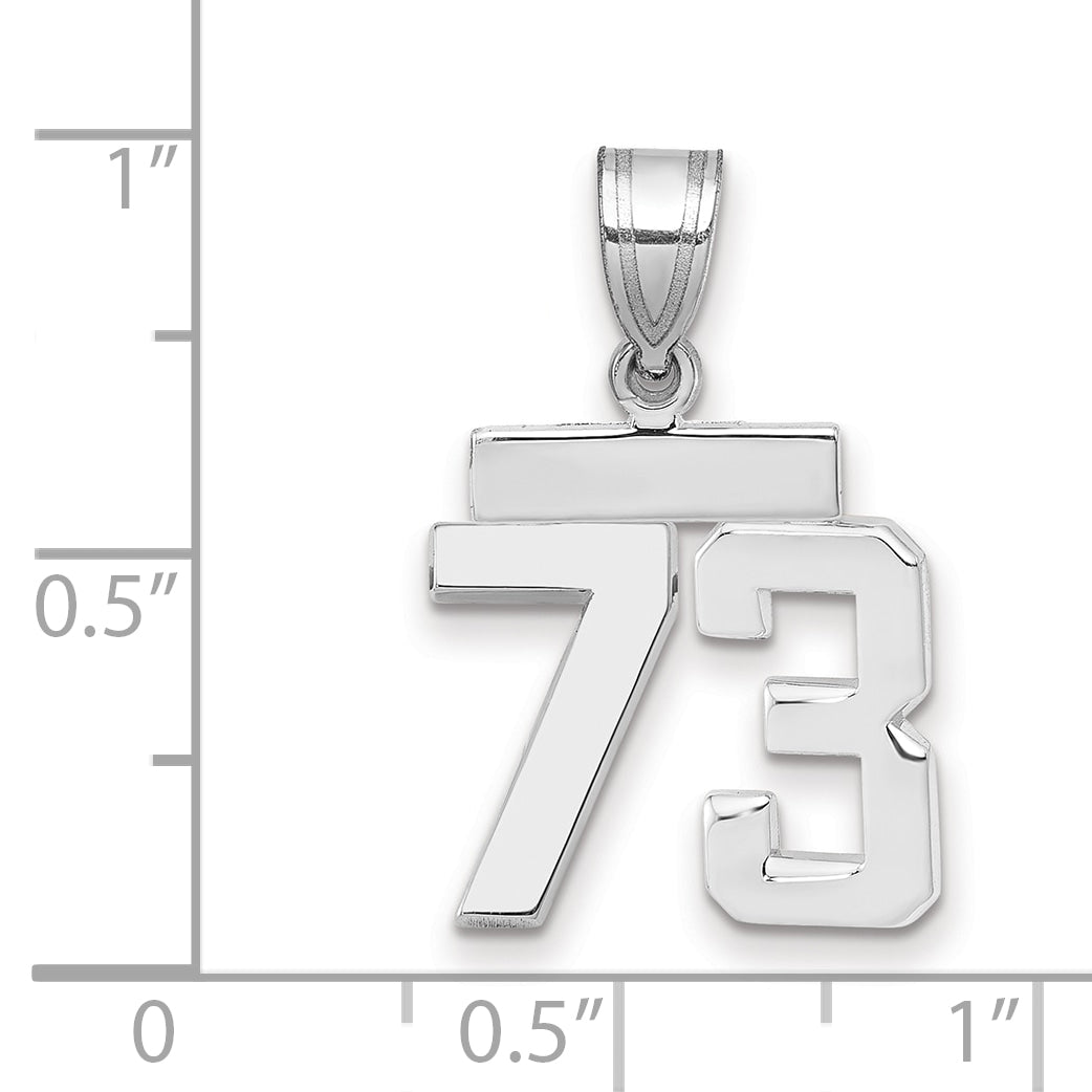 WSP73