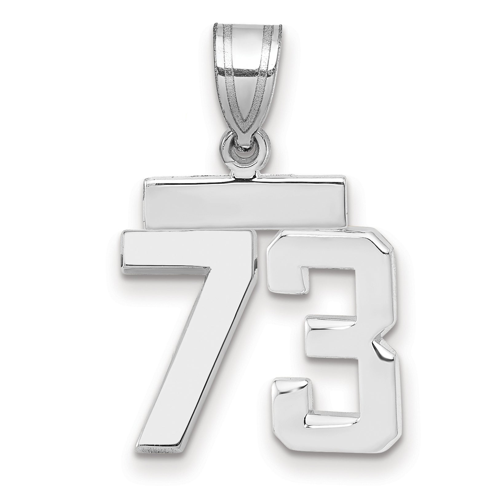 WSP73
