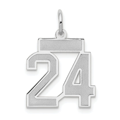 WSS24