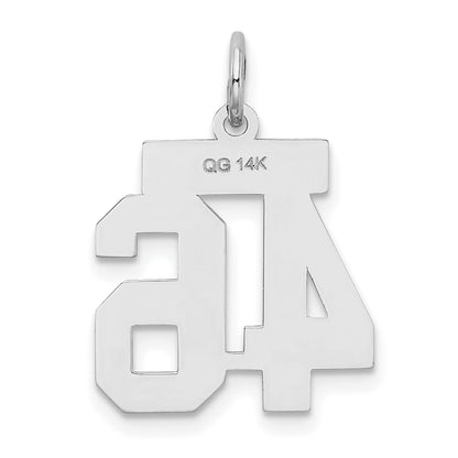 WSS46