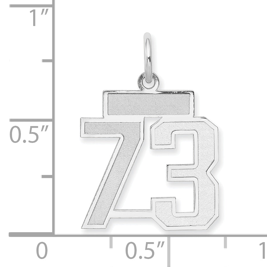 WSS73