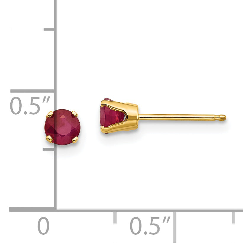 XBE55