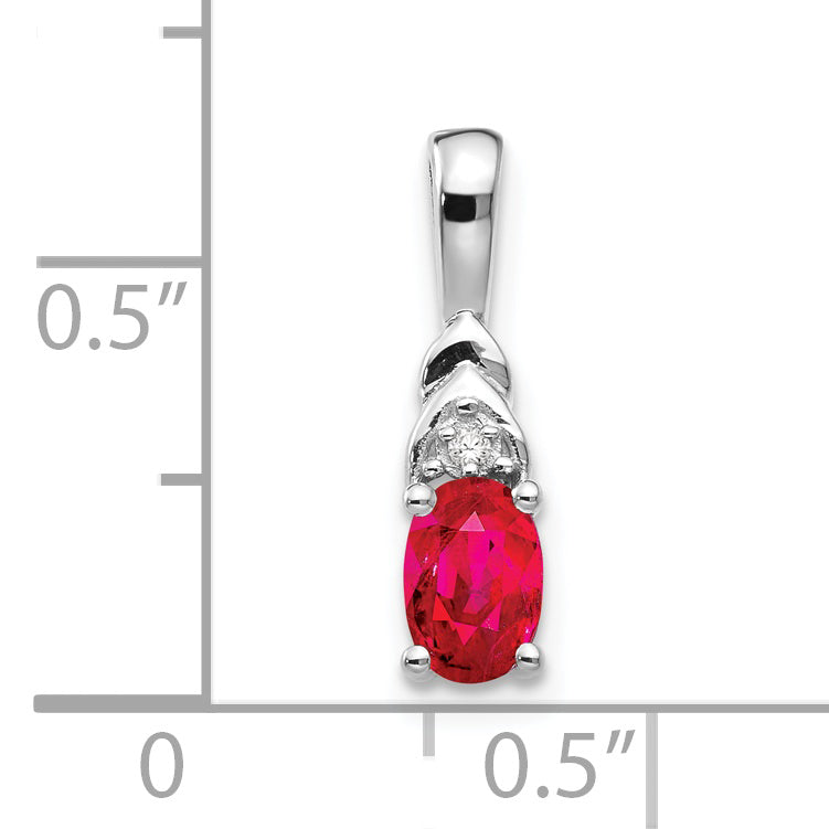 XBS244