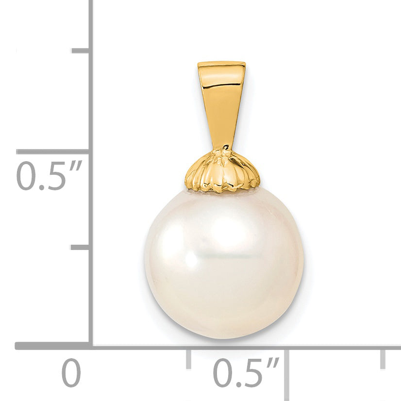 XF465