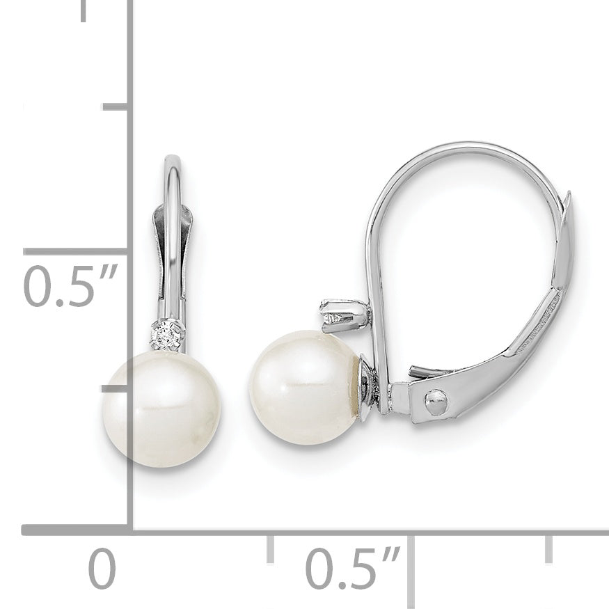 XFW248E