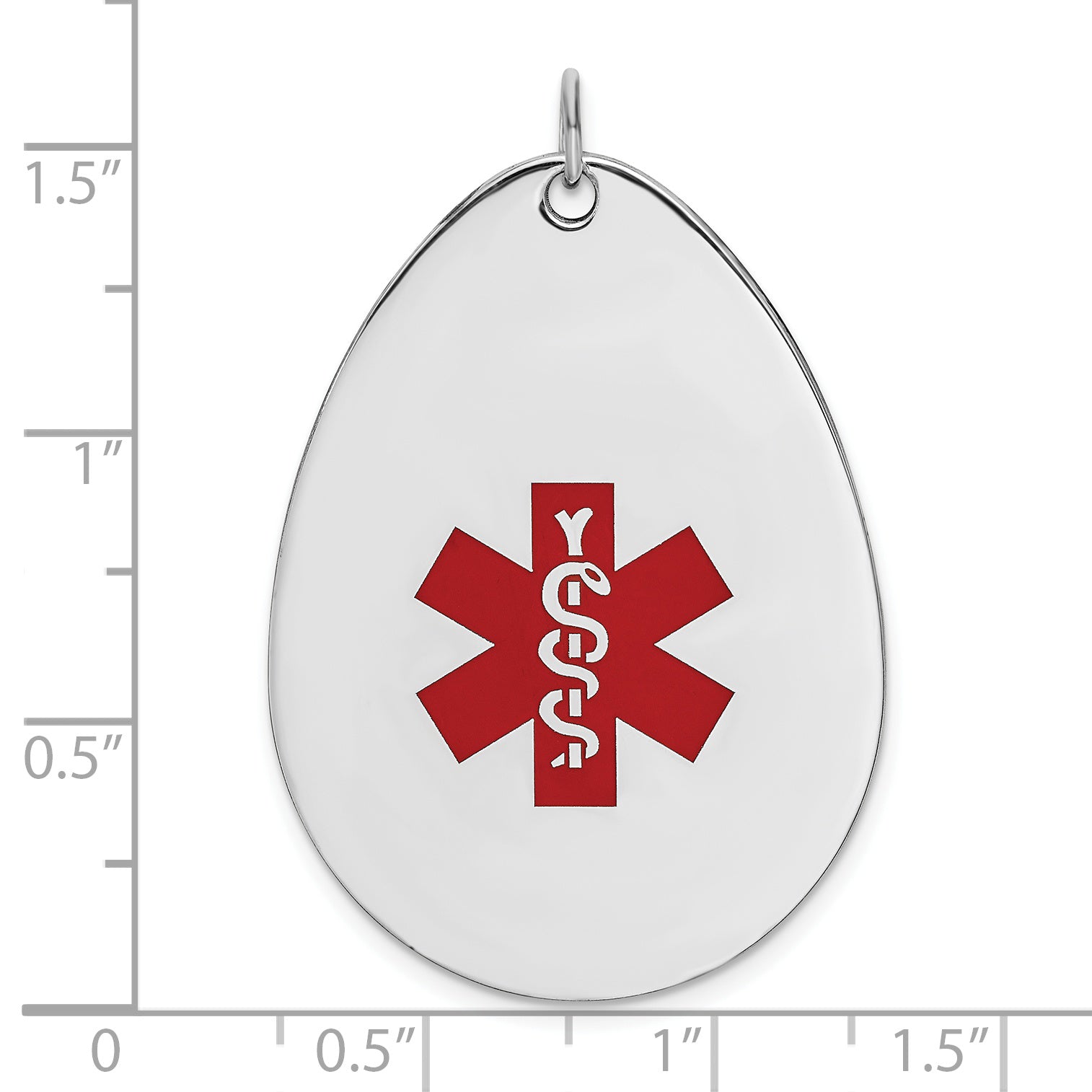 XSM61
