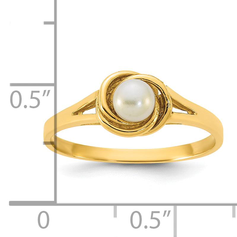 Y13954PL