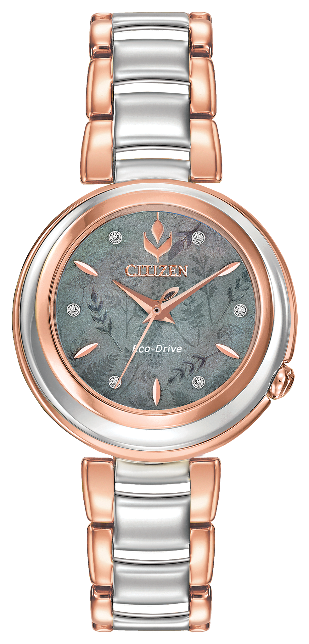EM0586-51Y Citizen Watch