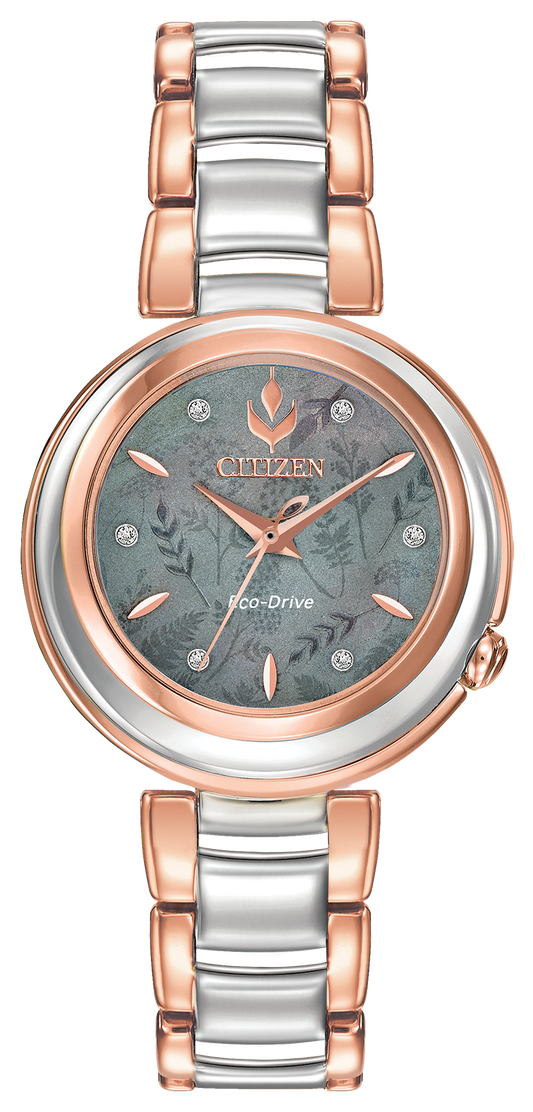 EM0586-51Y Citizen Watch