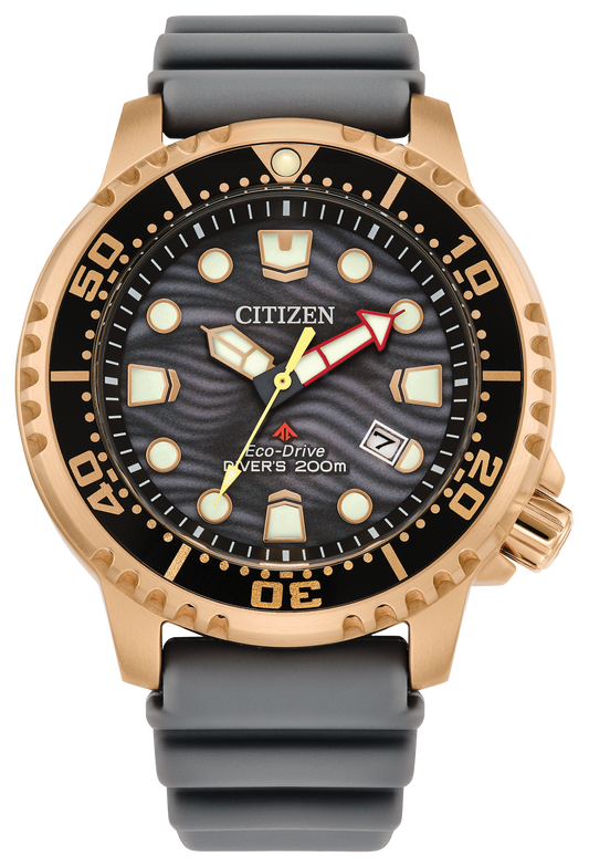 BN0163-00H Citizen Watch