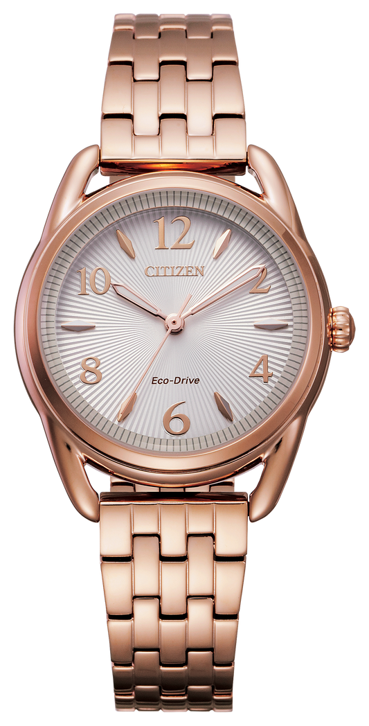FE1213-50A Citizen Watch