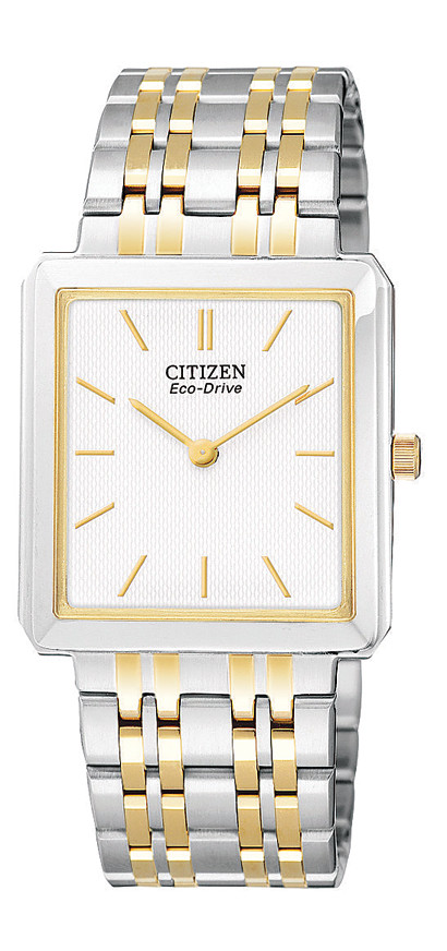 AR1074-55A Citizen Watch