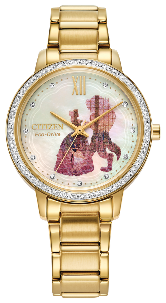 FE7048-51D Citizen Watch