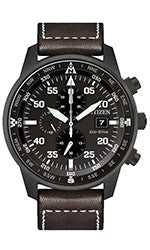 CA0695-09E Citizen Watch
