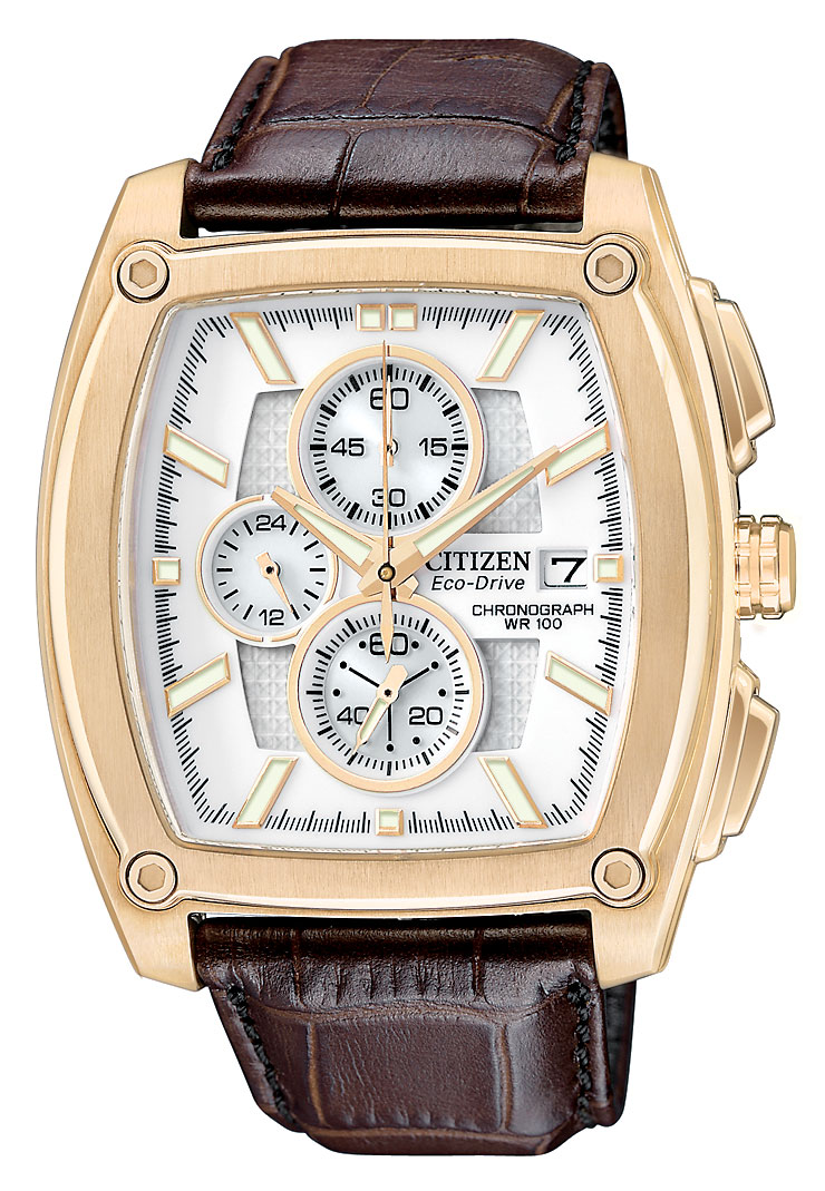 CA0093-01A Citizen Watch
