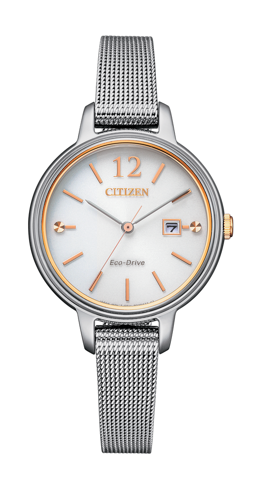 EW2441-77A Citizen Watch