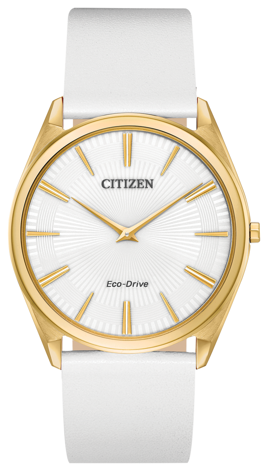 AR3072-09A Citizen Watch